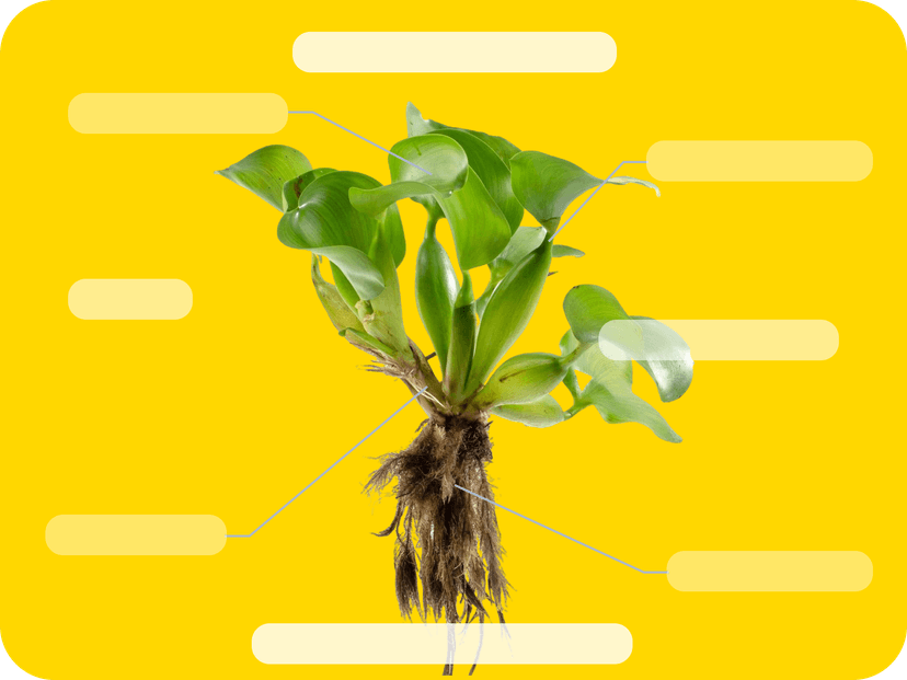 Always Current, Always Relevant