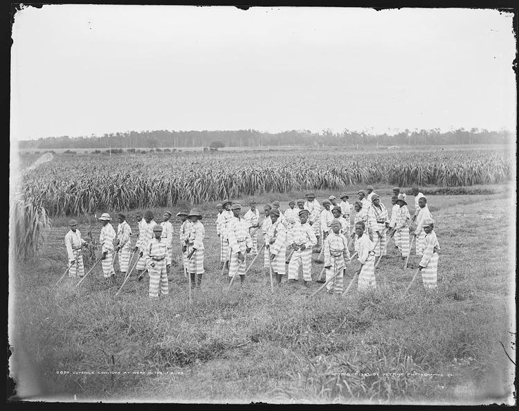Juvenile Convicts at Work in the Fields, 1903
