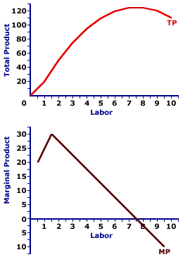 Marginal Product and Total Product